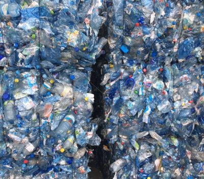 king recykling - segregacja butelek