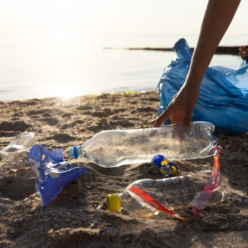 king recykling - odpady na plazy